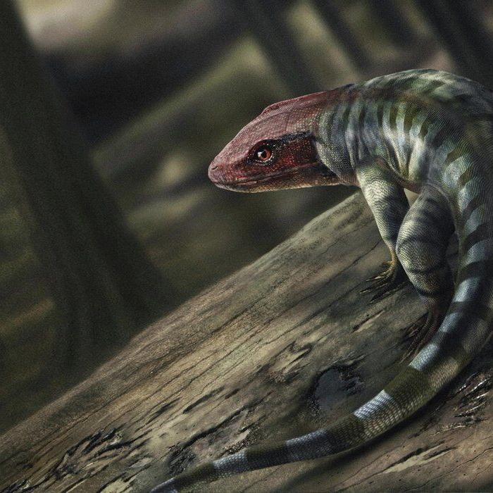 How ancient reptile footprints are rewriting the history of when animals evolved to live on land
